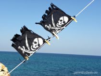 Bike Pirate Flag Private Dock